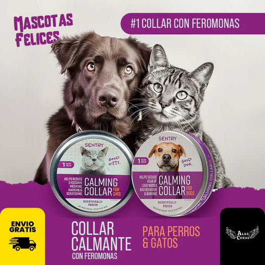 COLLAR RELAJANTE - Para Perros  & Gatos 🐶🐱